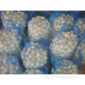 Loose packing Pure white garlic 10kg mesh bag